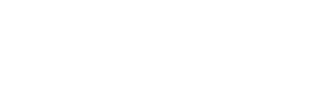 Debt Advisors of America logo